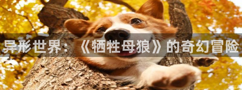 age动漫官网下载ios