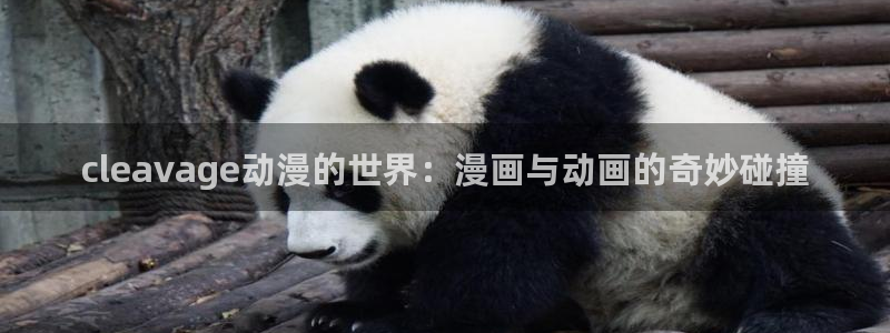 age动漫网下载