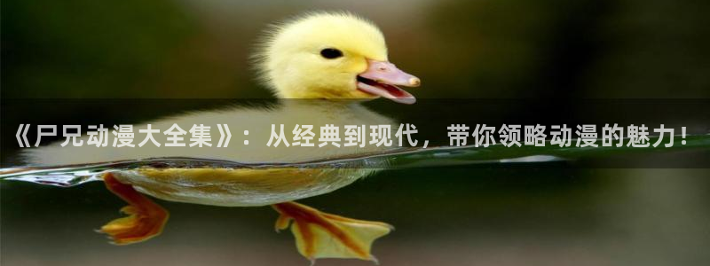 age动漫官网网址
